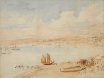 Wellington Harbour, N.Z. by Charles Heaphy